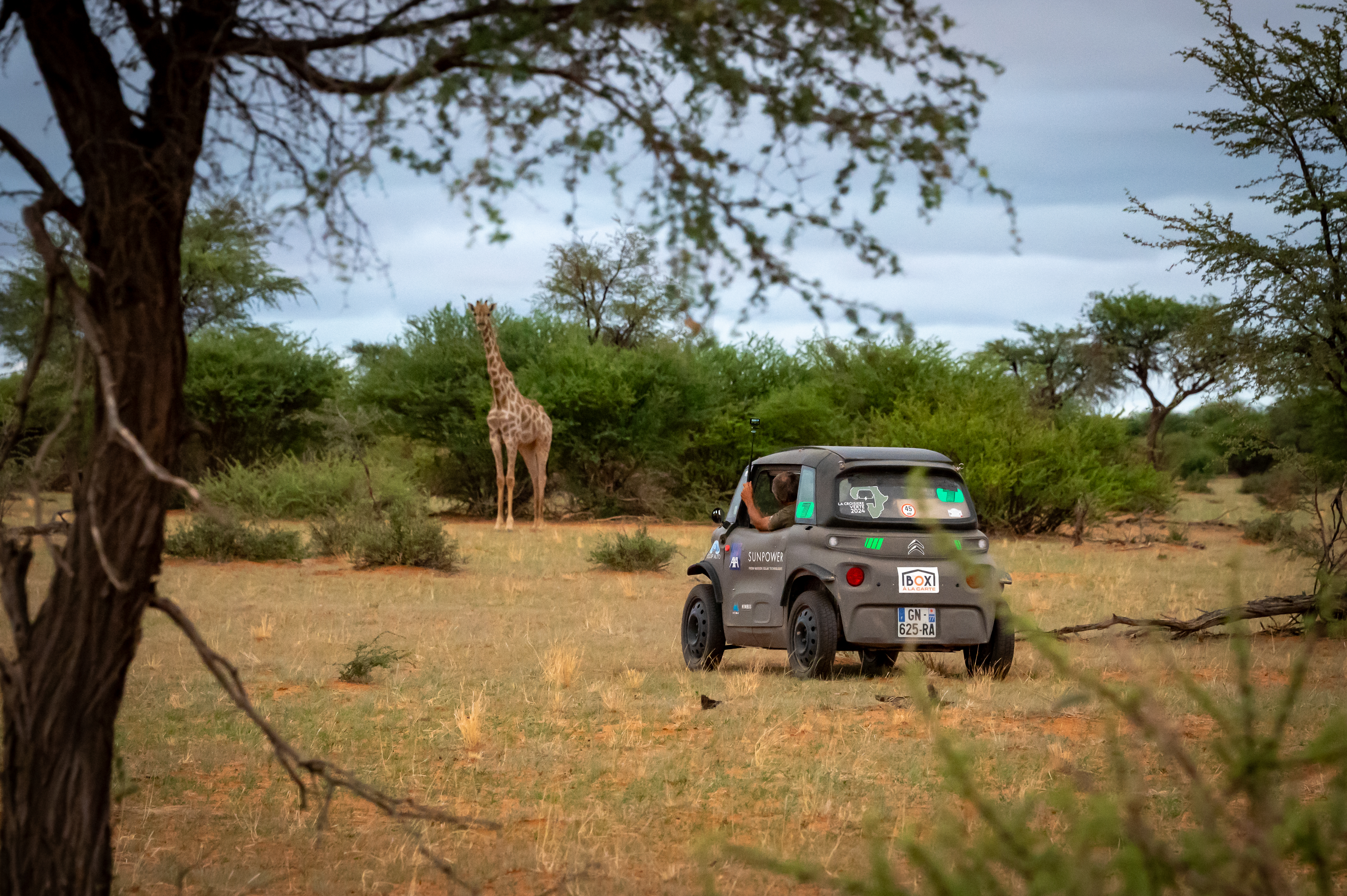 Photo Croisière verte